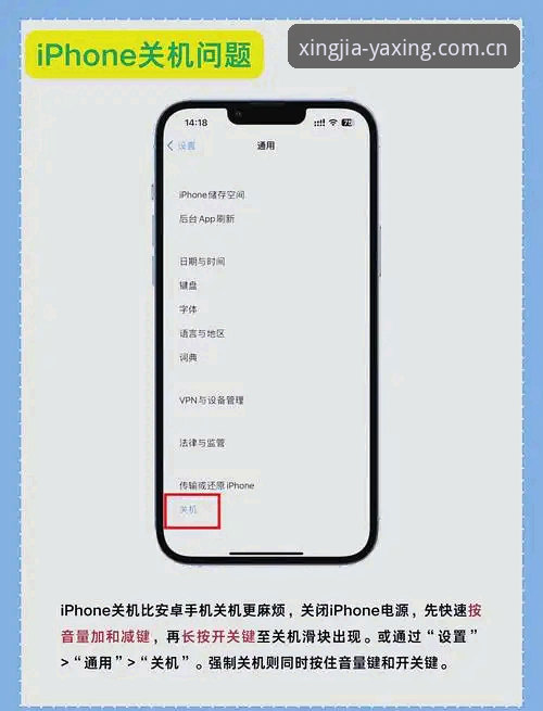 行家看中的地方安卓客户端安装使用教程：从入口变更到赛程数据调取
